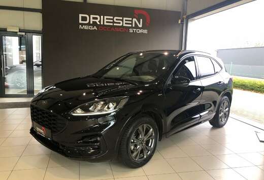 Ford ST-Line FHEV AUT  BIJ DRIESEN IN BREE  089/46161 ...