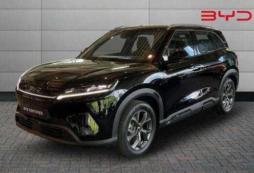 BYD BOOST