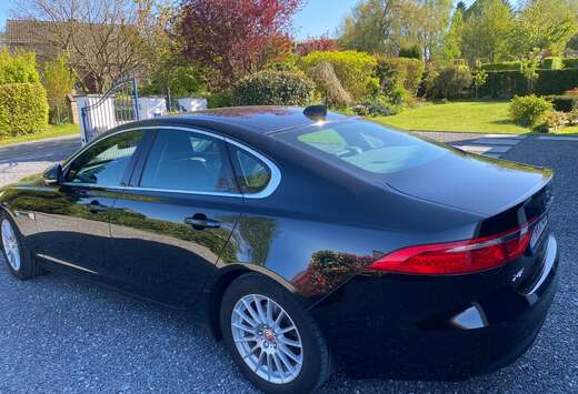 Jaguar XF 2.0 D E-Performance Business Ed.Prestige