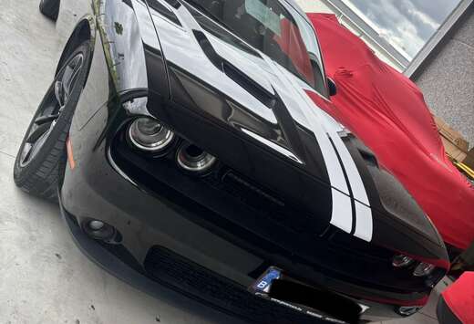 Dodge