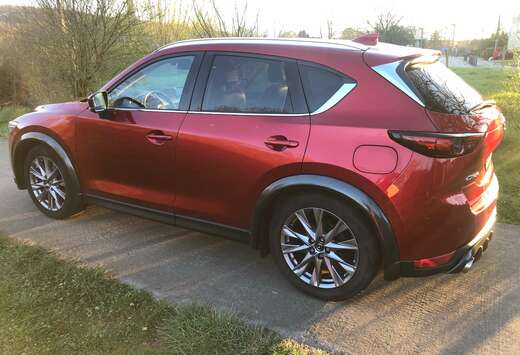 Mazda CX-5 2.0i SKYACTIV-G 2WD Skycruise (EU6d-T)
