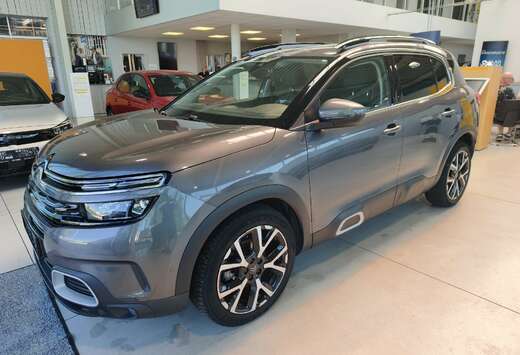 Citroen 1.5D VOLLEDIG LEDER 360CAMERA PanoDak AdaptCr ...