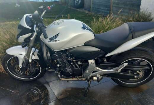 Honda Hornet