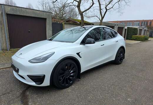 Tesla Model Y Performance