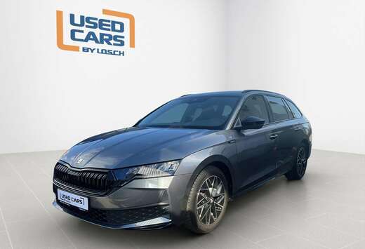 Skoda Sportline+DSG+StandH.+P.Comfort