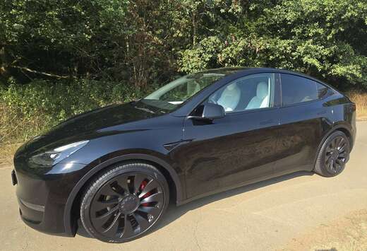 Tesla Model Y 72.5 kWh Dual Motor Performance (377 kW ...