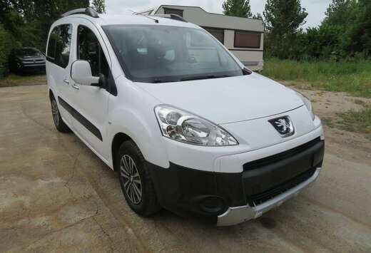 Peugeot 1.6 benzine - Dubbel schuifdeur