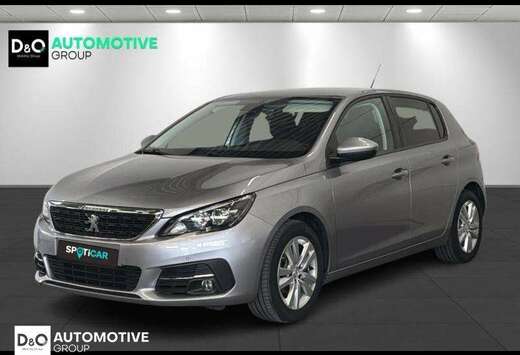 Peugeot allure gps parkeerhulp
