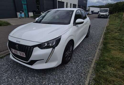 Peugeot 1.2i PureTech Active (EU6.3)