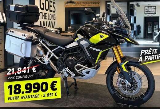 Triumph Rally pro