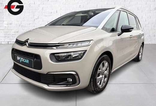 Citroen 7 pl.