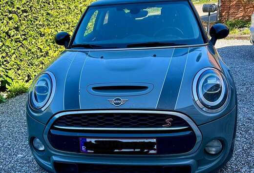 MINI 2.0 DAS S (EU6c)