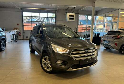 Ford Kuga | Zetelverwarming | Elektrische Koffer | 12 ...