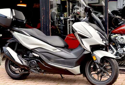 Honda ***MOTO VERTE***