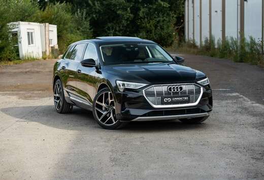 Audi E-TRON 50*QUATTRO*LED*PANO*22 INCH*CARPLAY*