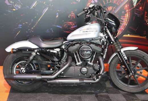 Chopper XL