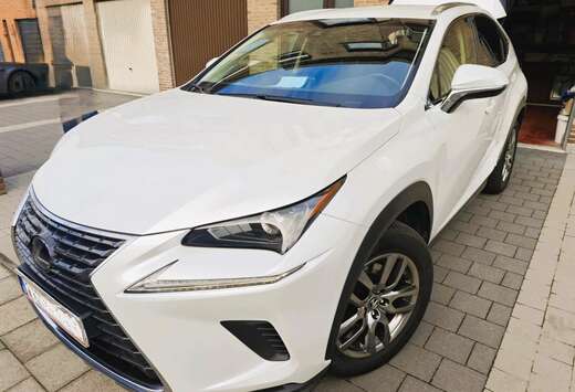 Lexus NX 300h 2.5i FWD Business Line E-CVT (EU6.2)