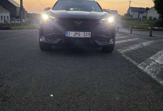 e-Hybrid 1.4 VZ DSG Tribe Édition