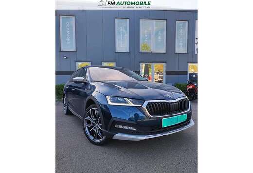 Skoda RS Scout 2.0 TDI DSG 4x4 /Pano/Canton/AHK