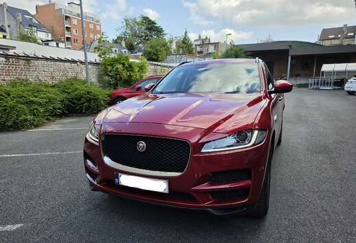 Jaguar 20d Aut. Pure