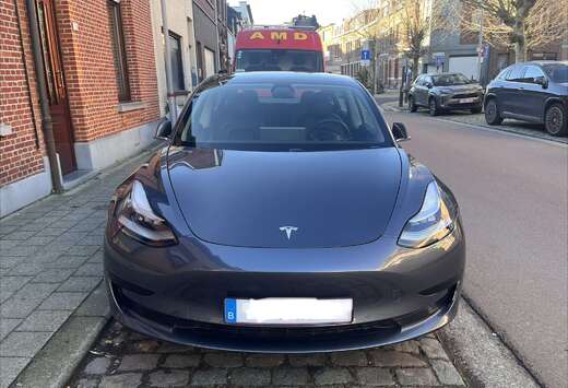 Tesla Standard Model Plus