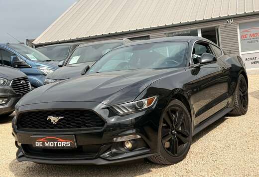 Ford 2.3 EcoBoost 317 CV - NAVIGATION - CAMERA -DRIVE ...