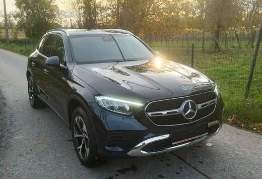 Mercedes-Benz e Business line /Trekhaak/Sfeer/BTW