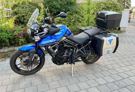 Triumph XRX - Carnet - Full équipée - entretien 04/ ...
